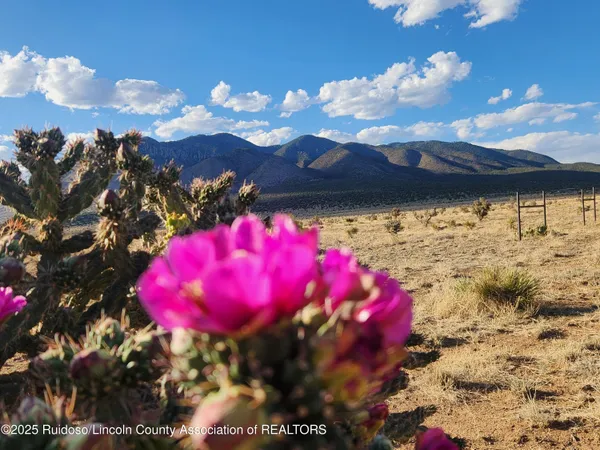 $99,500 | L4 O O Bar O Road, Carrizozo, NM 88301