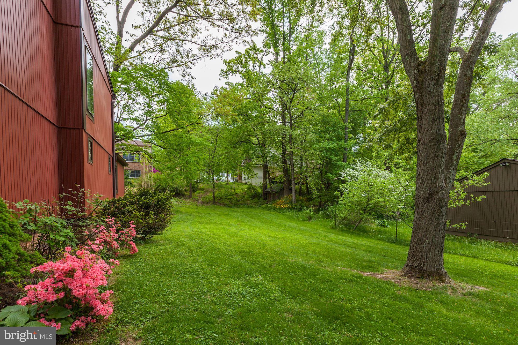 15209 Watergate Road Silver Spring, MD 20905 - Photo 30 of 30 Private Yard