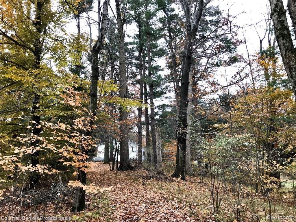 4083 Slattery Road North Branch, MI 48461 - Photo 20 of 26 IMG_1813.jpg