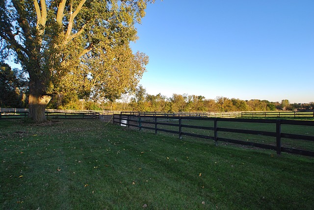 44-w501 Ramm Road Maple Park, IL 60151 - Photo 15 of 17