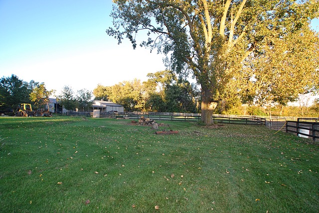 44-w501 Ramm Road Maple Park, IL 60151 - Photo 16 of 17