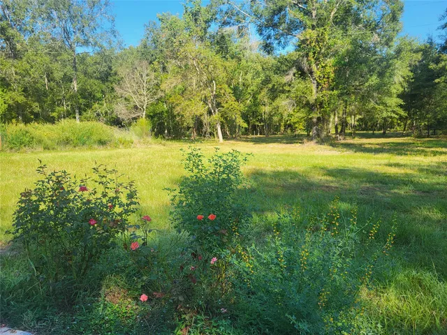 a view of a yard with an trees