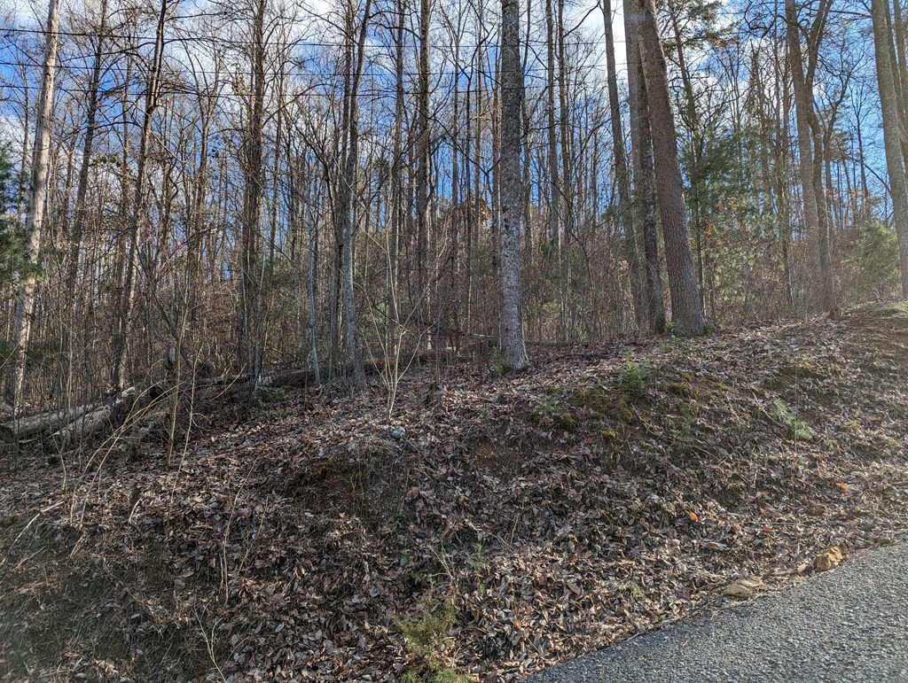 0 Shagbark Hickory Ridge Sevierville, TN 37862 - Photo 6 of 12