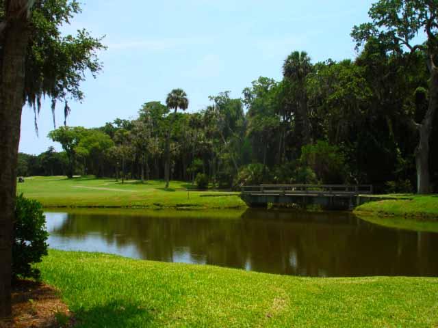 590 King Cotton Road, Unit 8 Edisto Beach, SC 29438 - Photo 24 of 34 lagoon