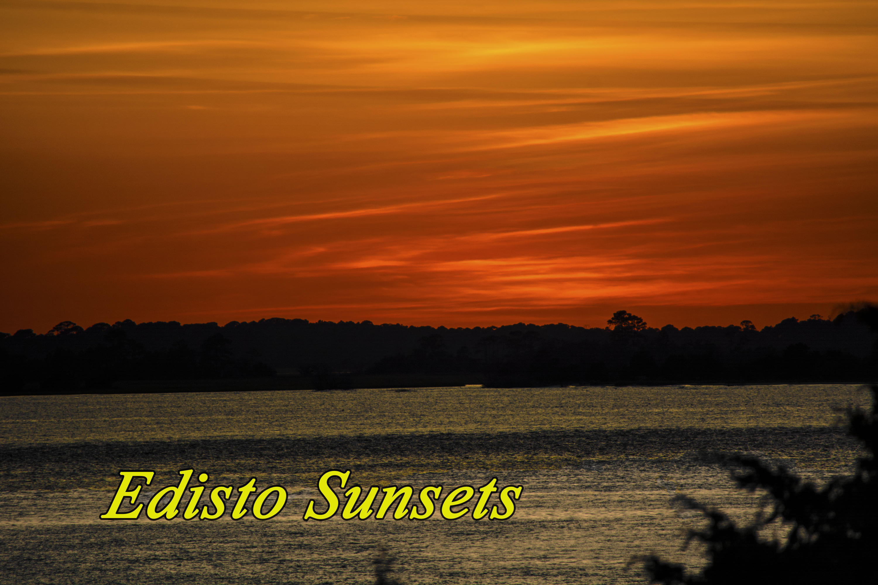 590 King Cotton Road, Unit 8 Edisto Beach, SC 29438 - Photo 33 of 34 sunset