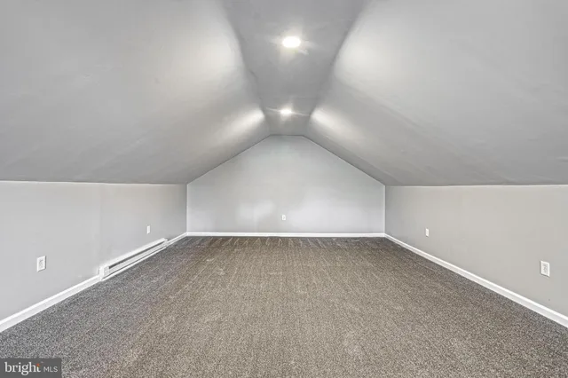 a pathway of a yard with plants and large trees