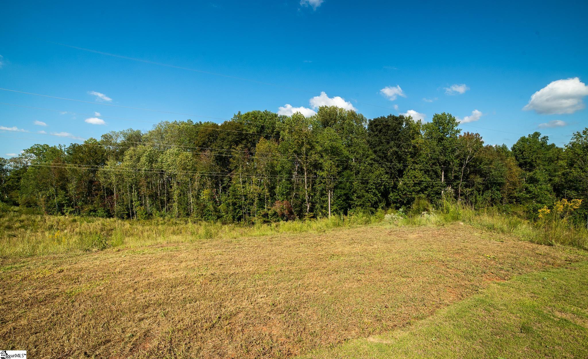 1049 Maraschino Way Lyman, SC 29365 - Photo 5 of 25