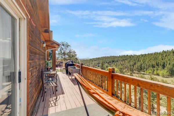 182 Spruce Trail Bailey, CO 80421 - Photo 33 of 34