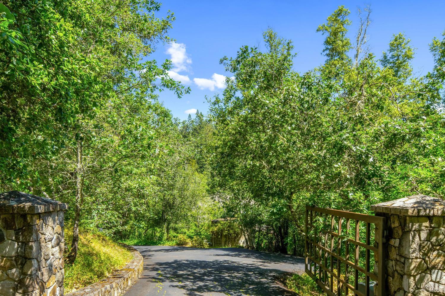 4504 Redwood Road Napa, CA 94558 - Photo 7 of 57 a view of a yard with plants and large trees