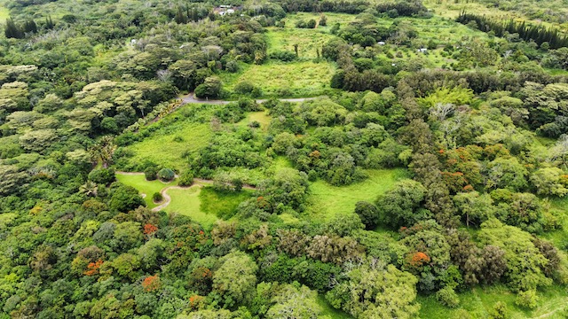 2 Opihikau Road Pahoa, HI 96778 - Photo 2 of 16