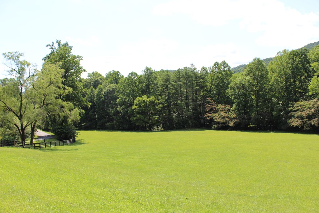 0 Wolf Mountain Road Murphy, NC 28906 - Photo 5 of 9