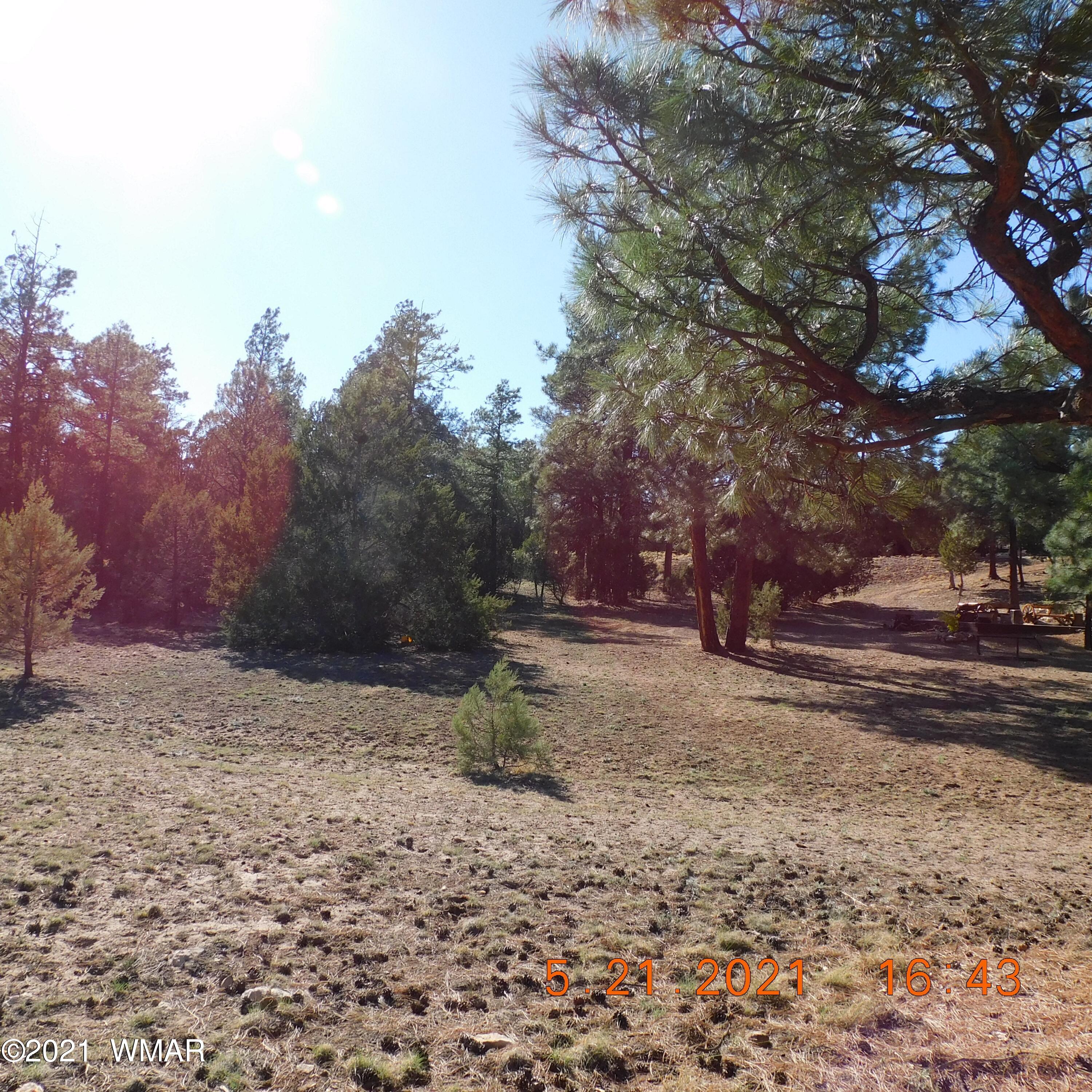 2869 West Lodgepole Road Overgaard, AZ 85933 - Photo 11 of 14