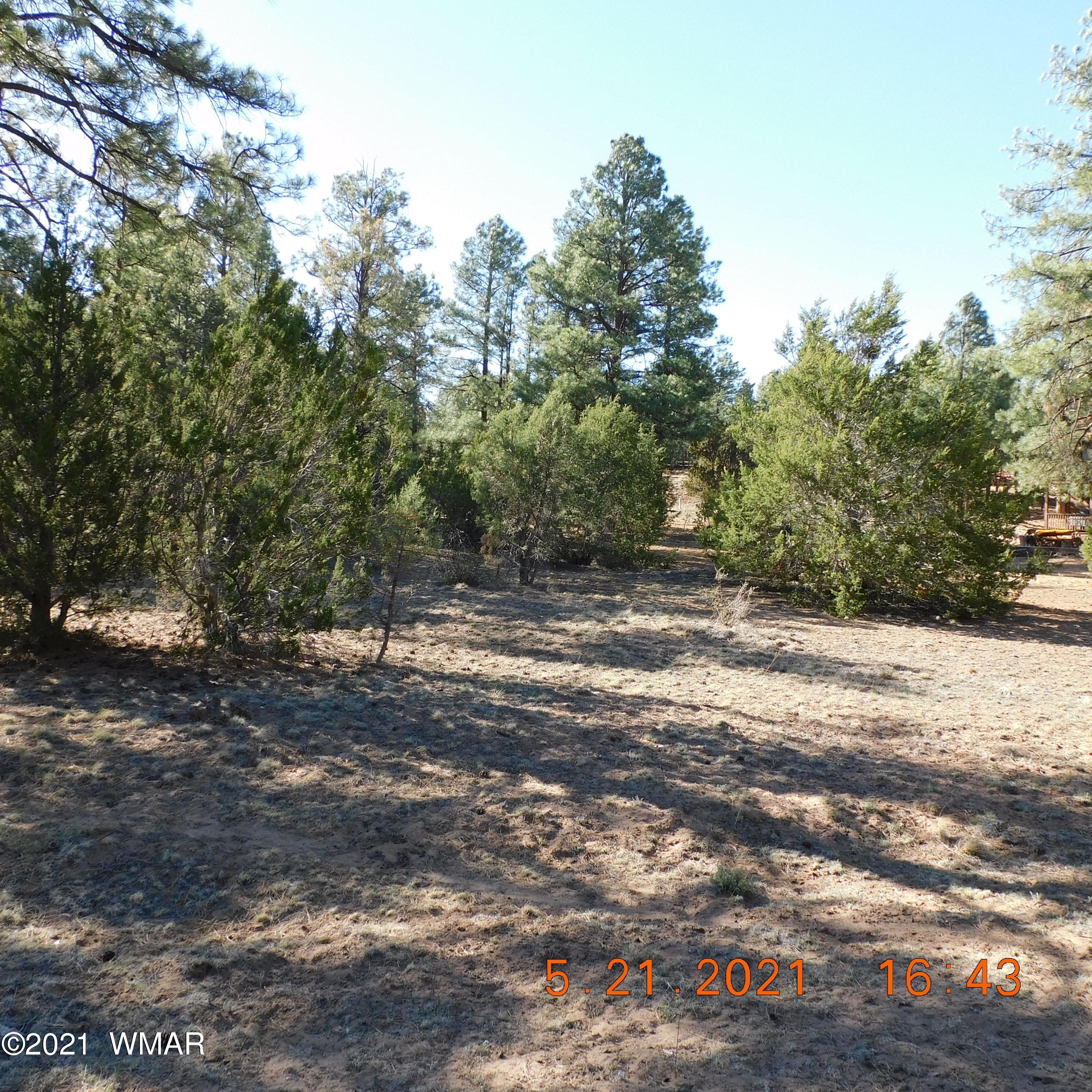 2869 West Lodgepole Road Overgaard, AZ 85933 - Photo 12 of 14
