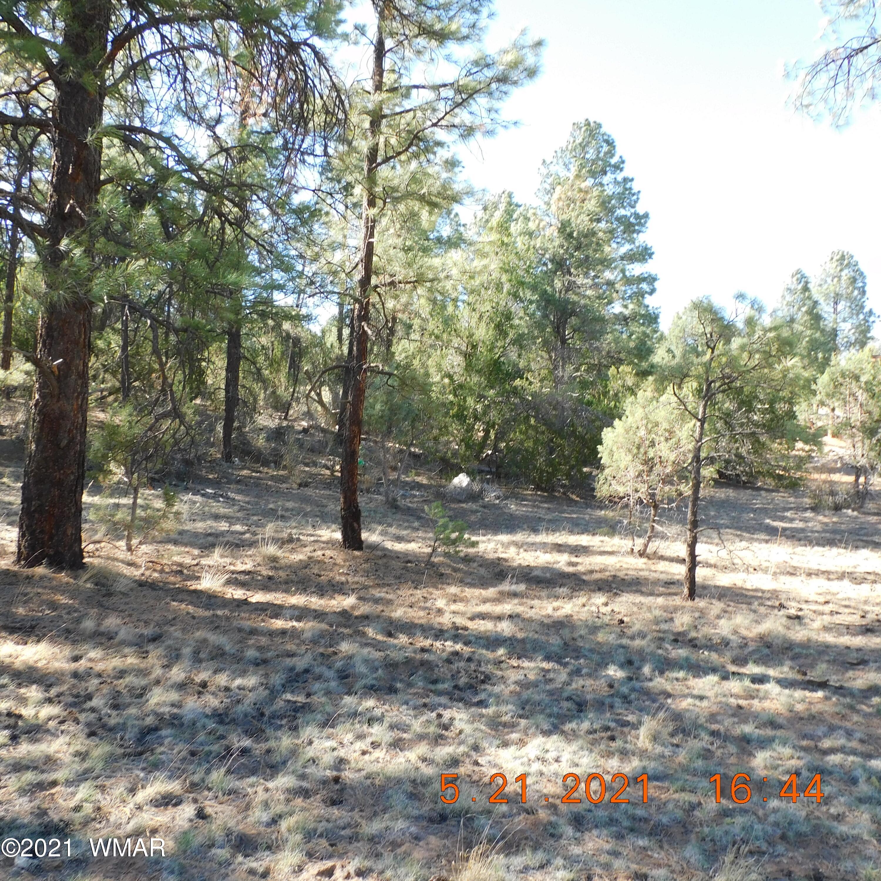 2869 West Lodgepole Road Overgaard, AZ 85933 - Photo 13 of 14