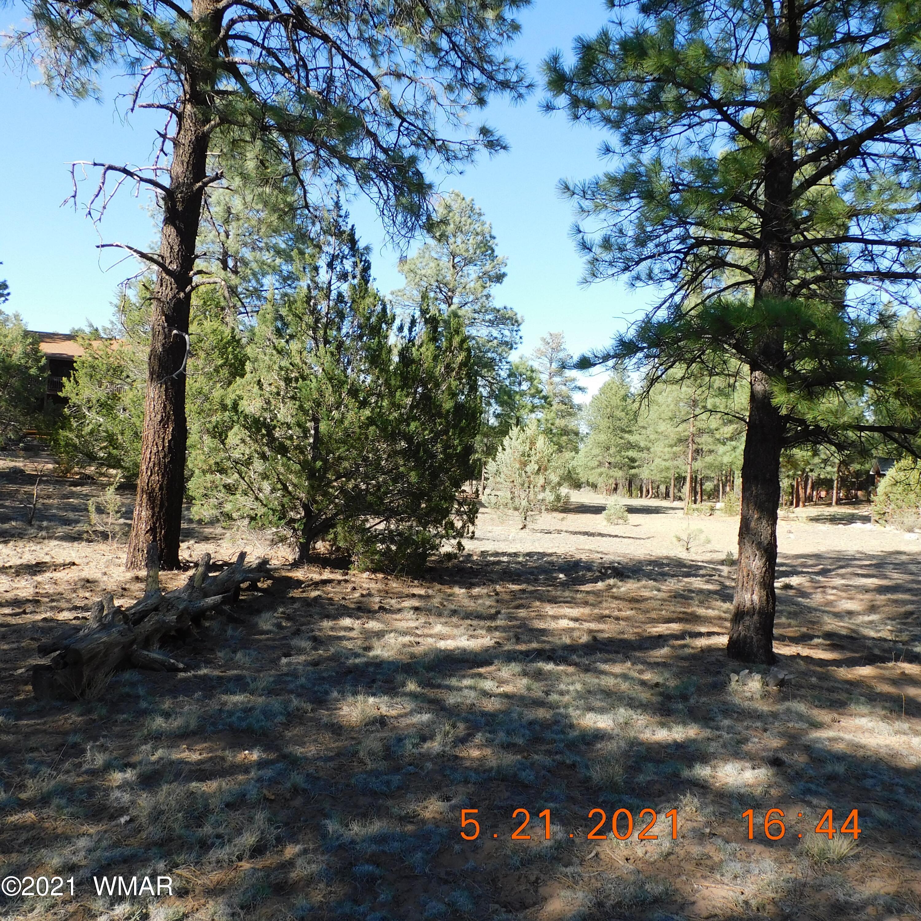 2869 West Lodgepole Road Overgaard, AZ 85933 - Photo 14 of 14