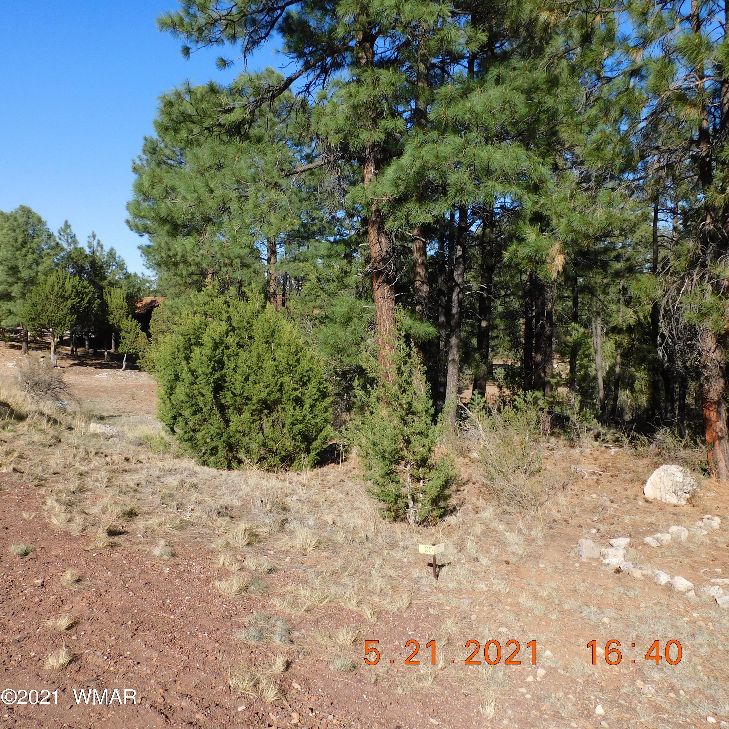 2869 West Lodgepole Road Overgaard, AZ 85933 - Photo 2 of 14