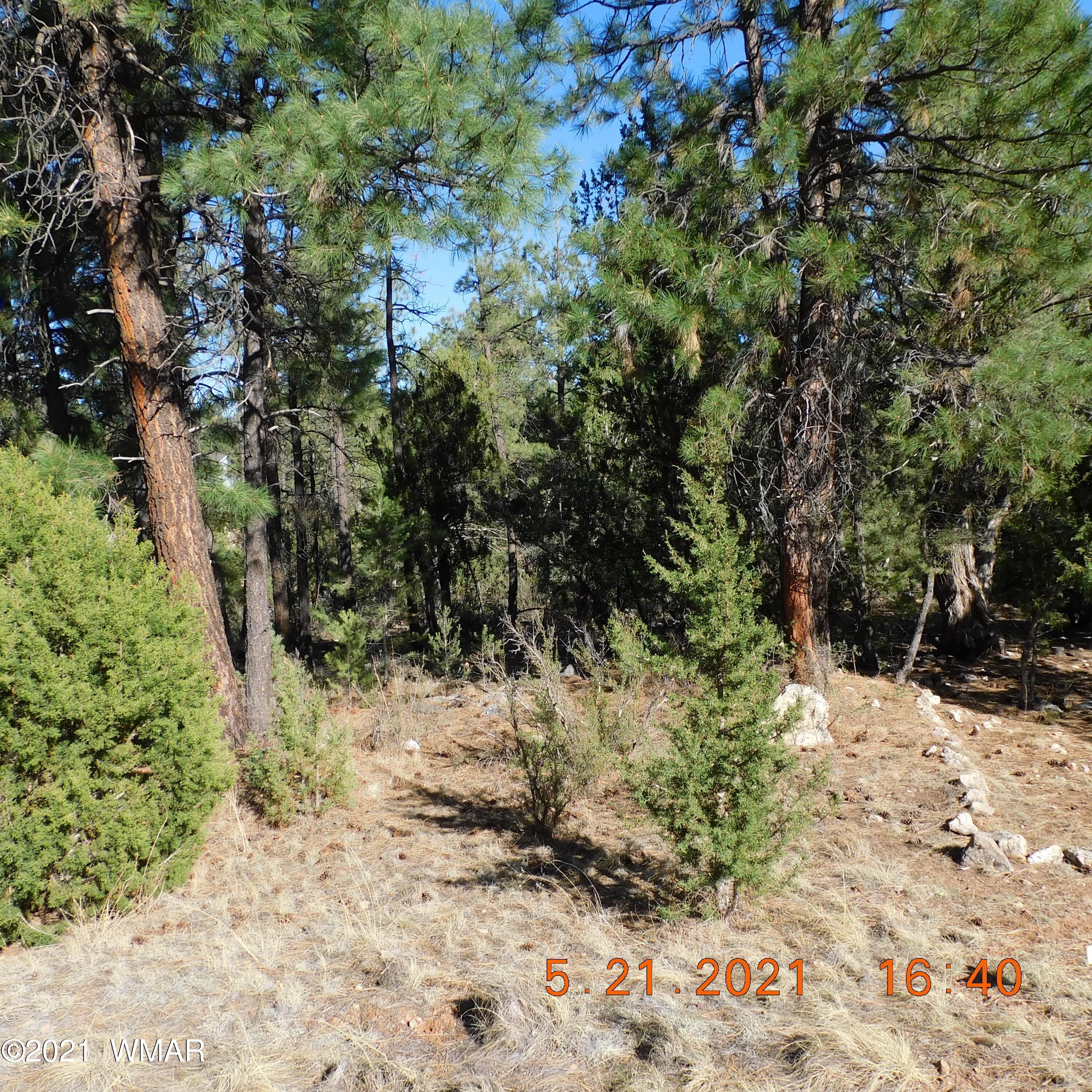 2869 West Lodgepole Road Overgaard, AZ 85933 - Photo 4 of 14