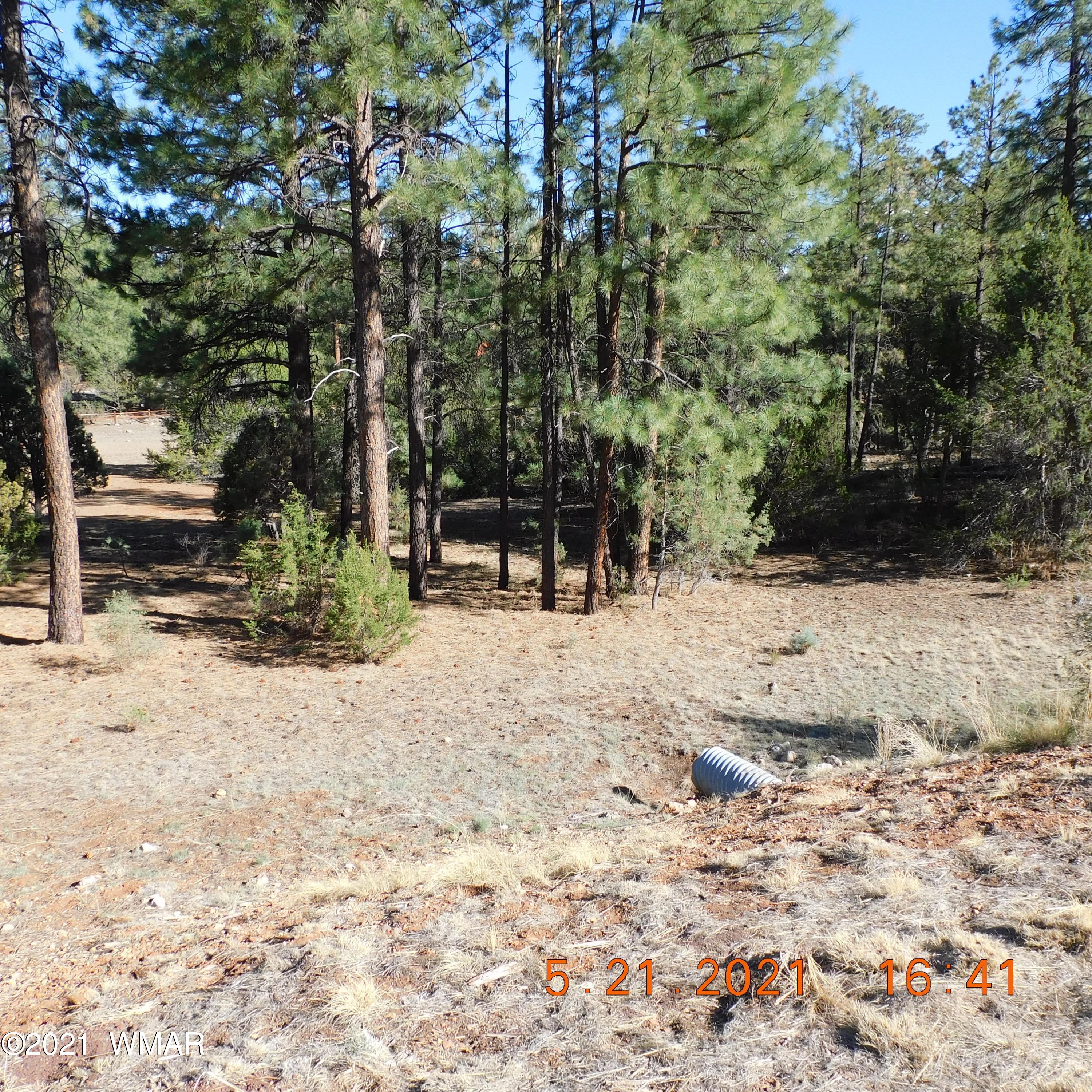 2869 West Lodgepole Road Overgaard, AZ 85933 - Photo 5 of 14