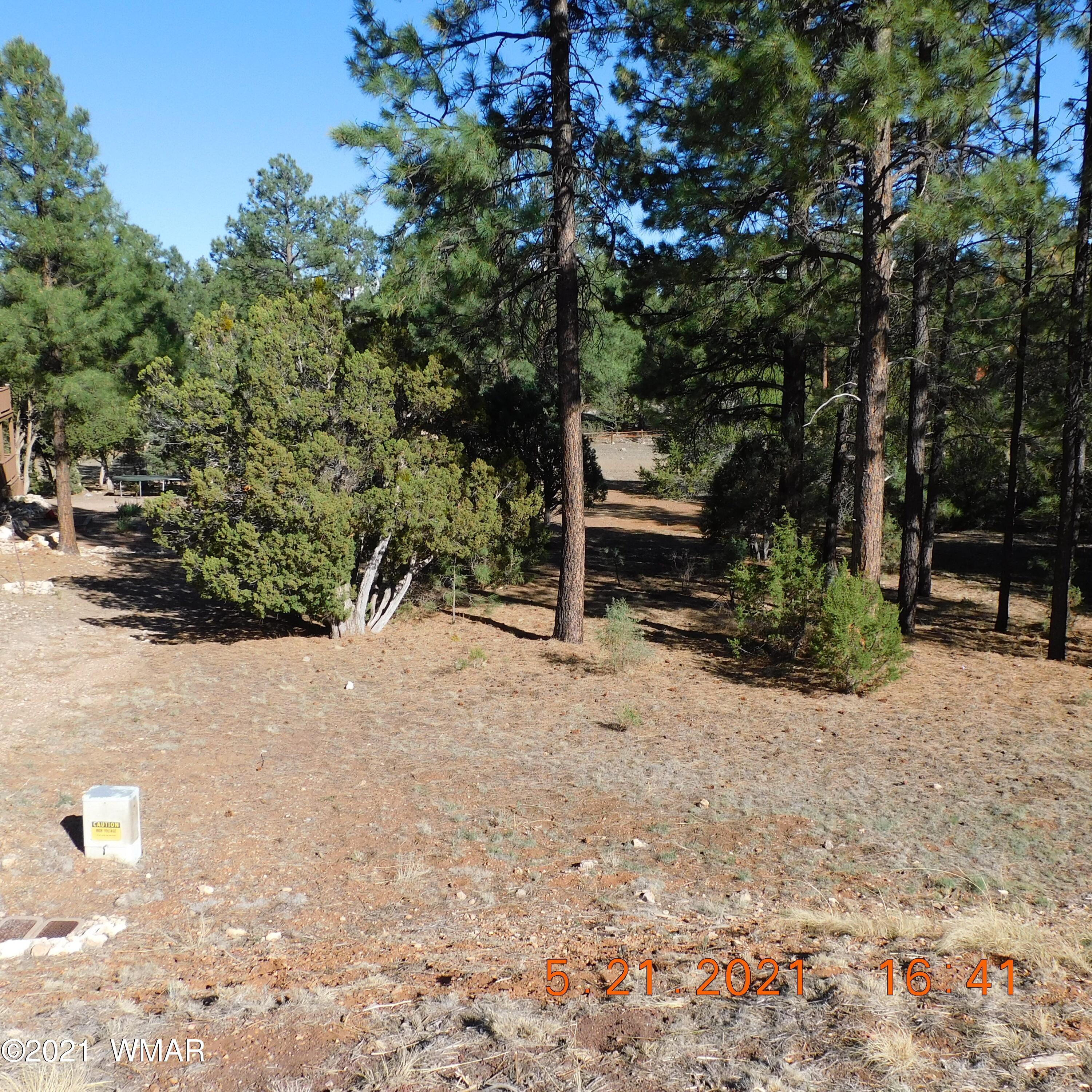 2869 West Lodgepole Road Overgaard, AZ 85933 - Photo 6 of 14