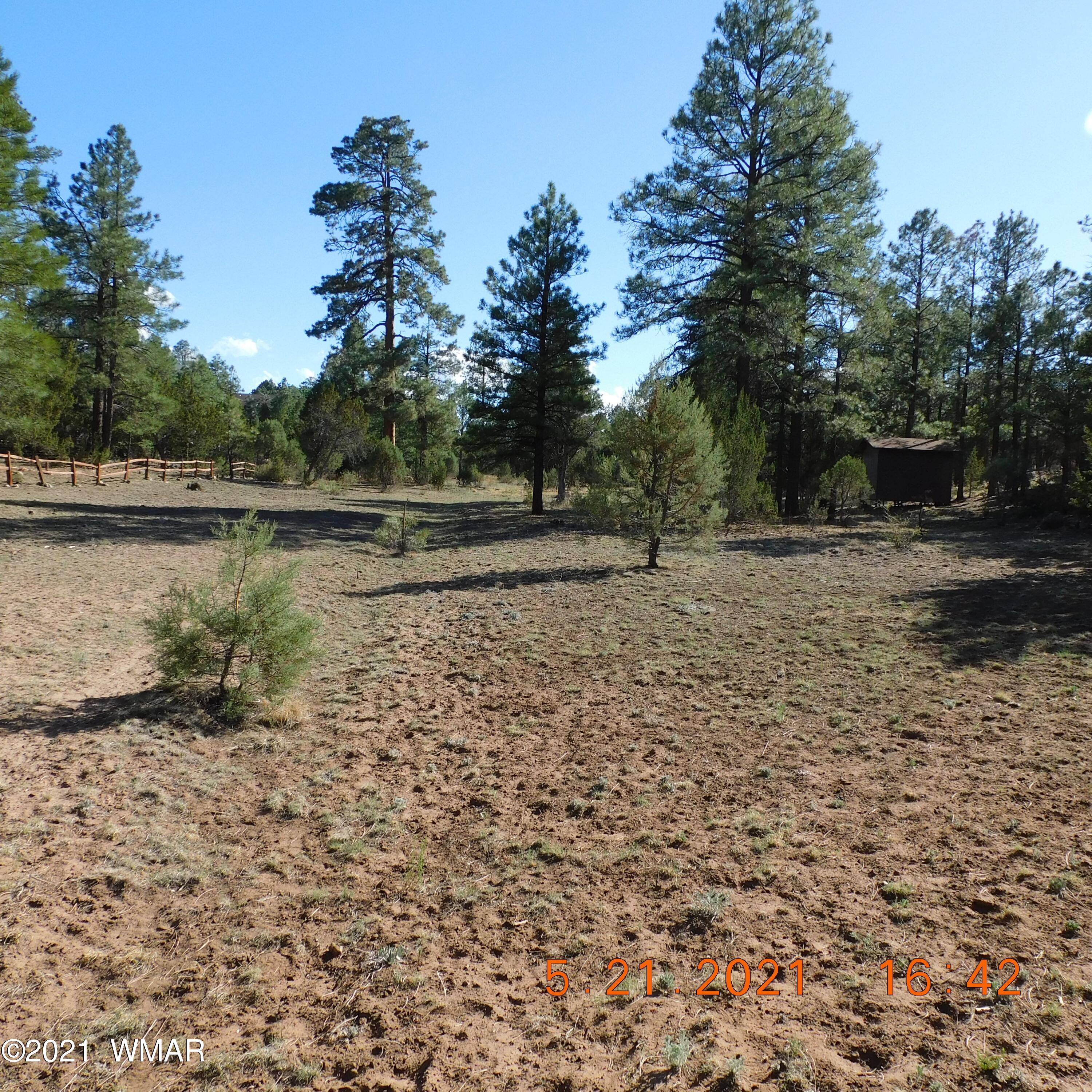 2869 West Lodgepole Road Overgaard, AZ 85933 - Photo 9 of 14