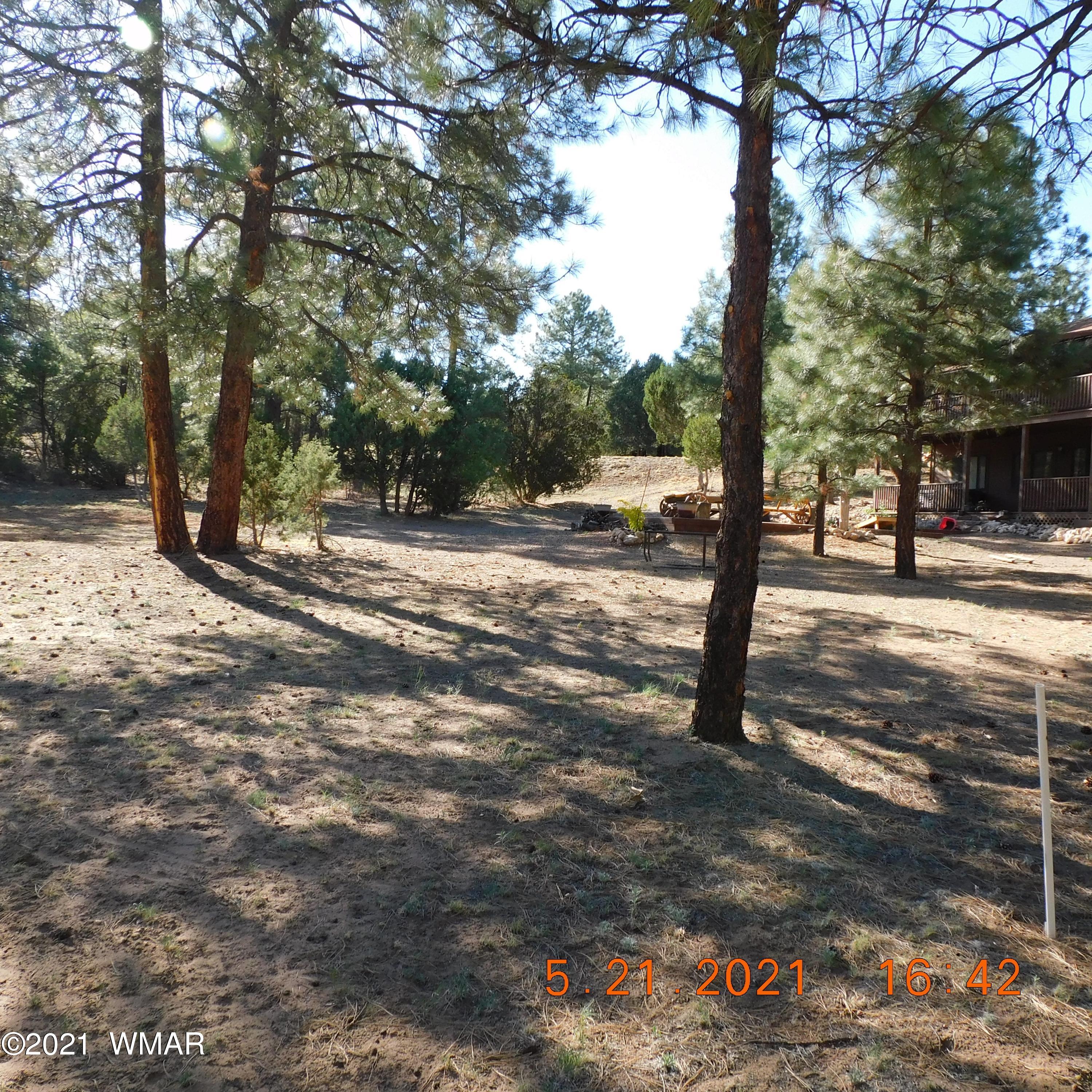 2869 West Lodgepole Road Overgaard, AZ 85933 - Photo 10 of 14