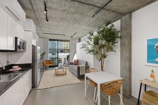 a living room with furniture and a potted plant