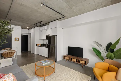 a living room with furniture a dining table and a potted plant