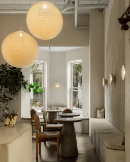 a living room with couches and a potted plant with wooden floor