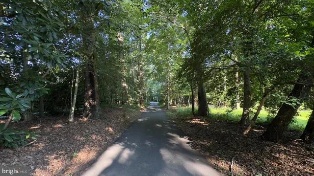 a view of outdoor space and trees