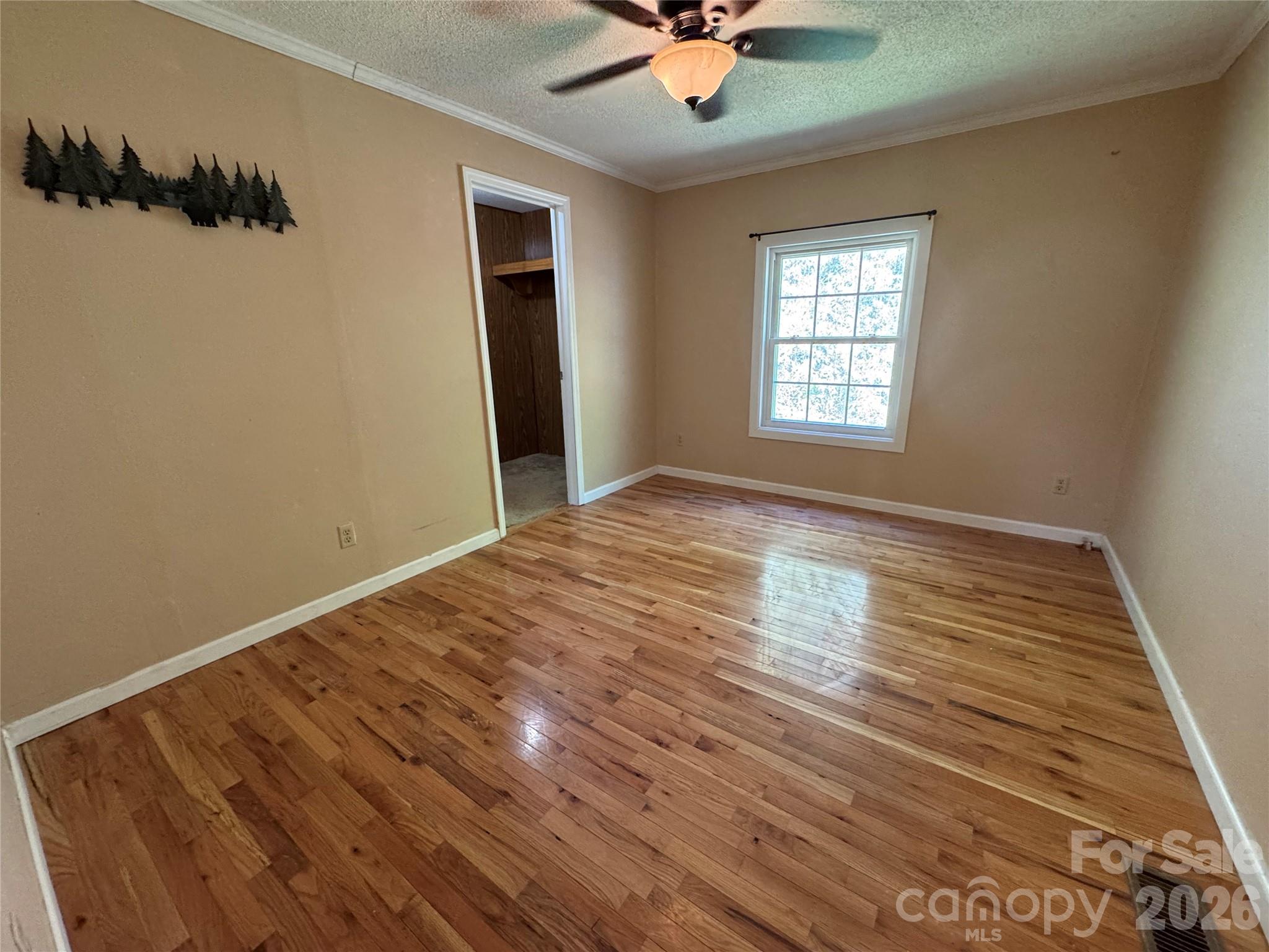 942 Fisher Branch Road Marshall, NC 28753 - Photo 17 of 38