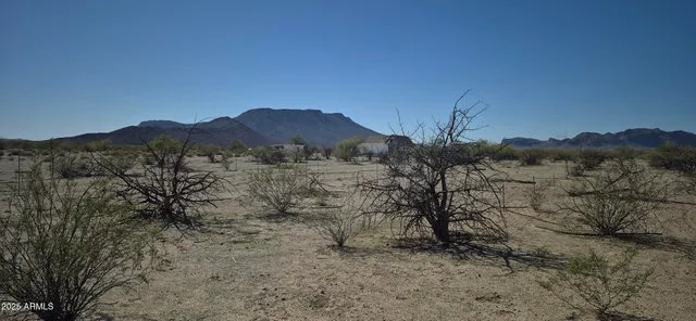 a view of a dry yard with wooden fence