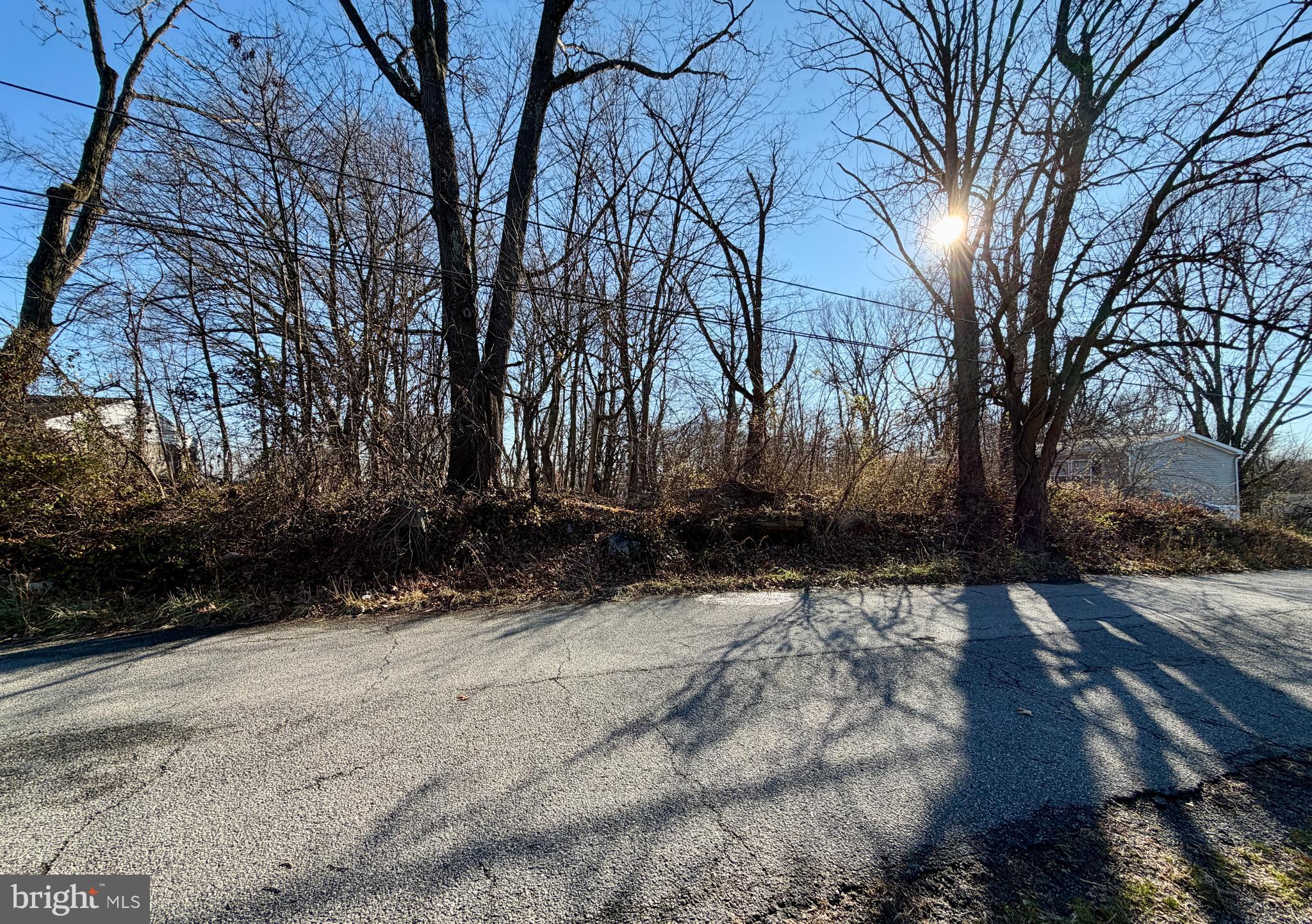 918 Lafayette Street Coatesville, PA 19320 - Photo 3 of 8 a view of a yard with trees