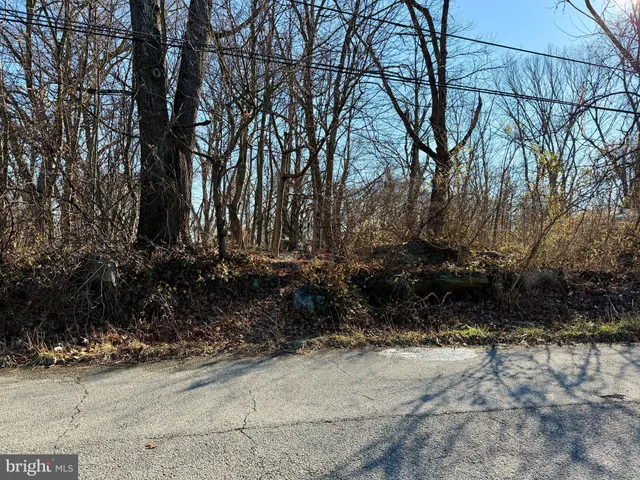 a view of a yard with wooden fence