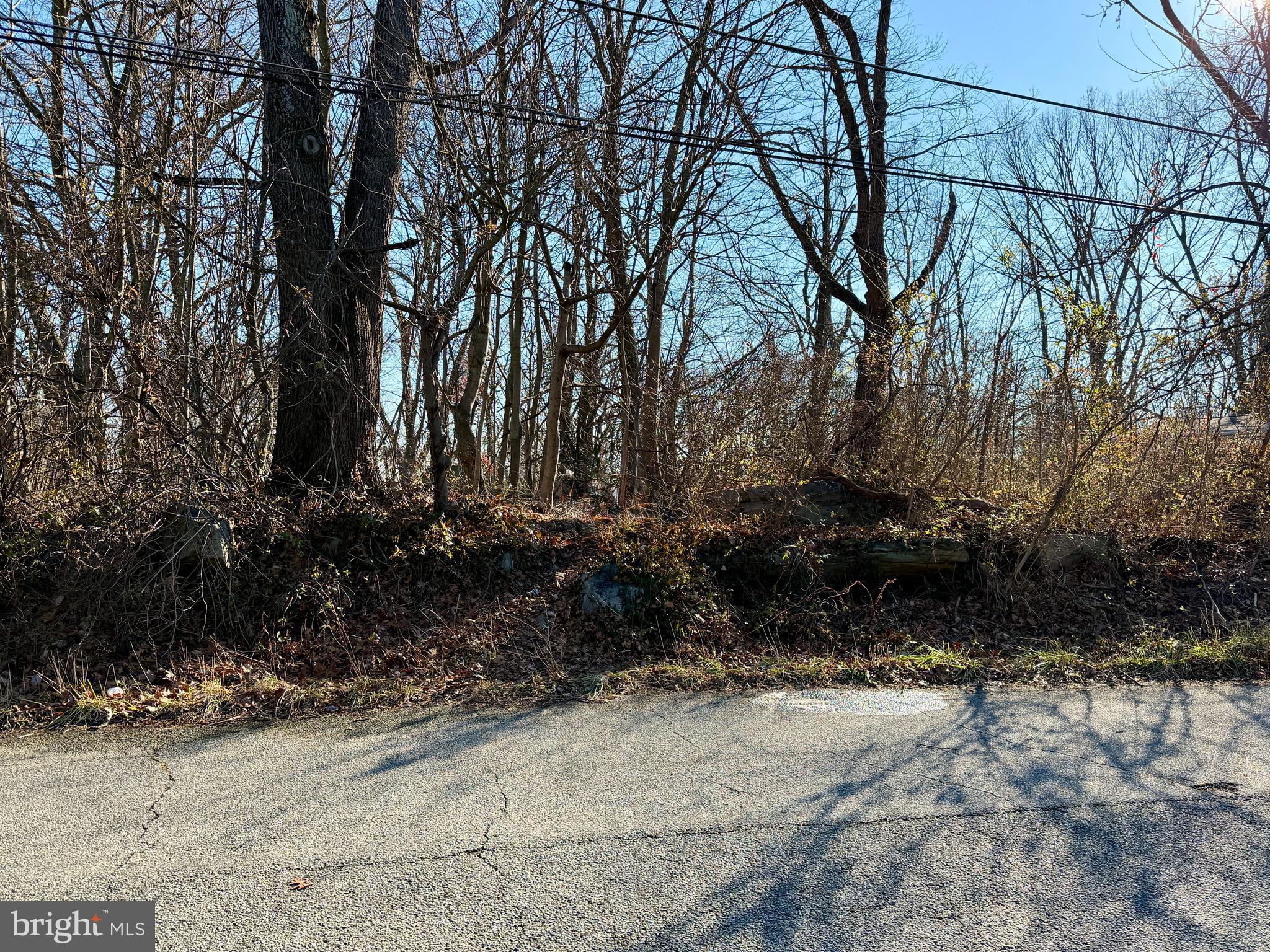 918 Lafayette Street Coatesville, PA 19320 - Photo 6 of 8 a view of a yard with plants and trees