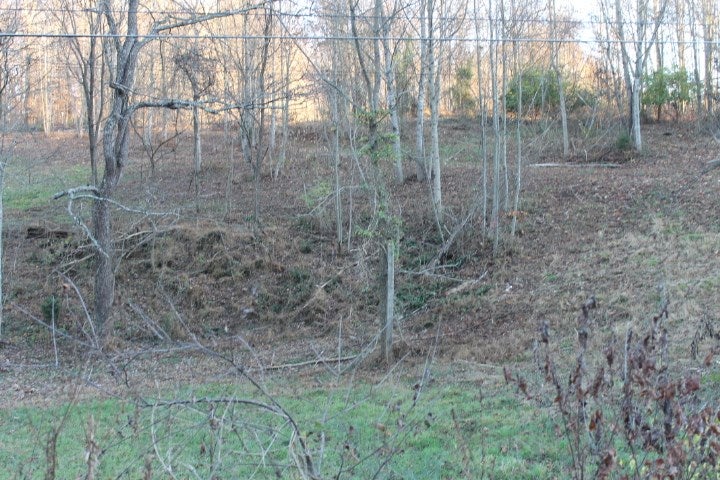 Lot # Reedy Creek Road, Unit 1 Bristol, TN 37620 - Photo 4 of 4 Gallery Image 4