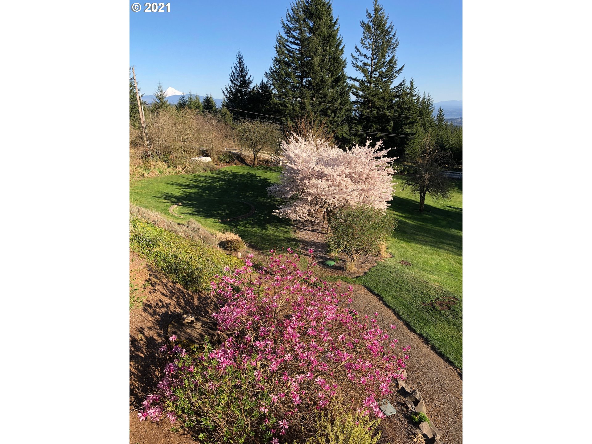 28400 Northeast Hancock Road Camas, WA 98607 - Photo 27 of 32 a view of a yard with plants