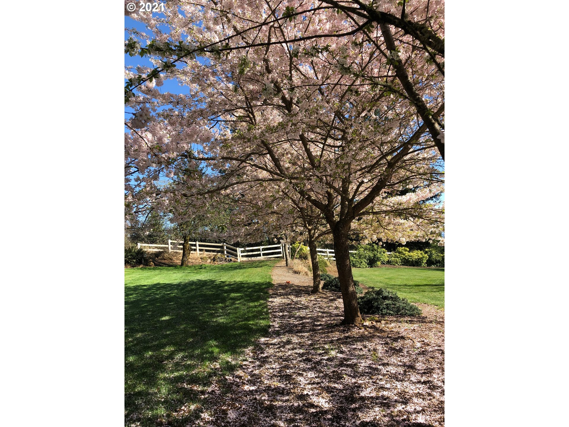 28400 Northeast Hancock Road Camas, WA 98607 - Photo 28 of 32 a view of a park with large trees