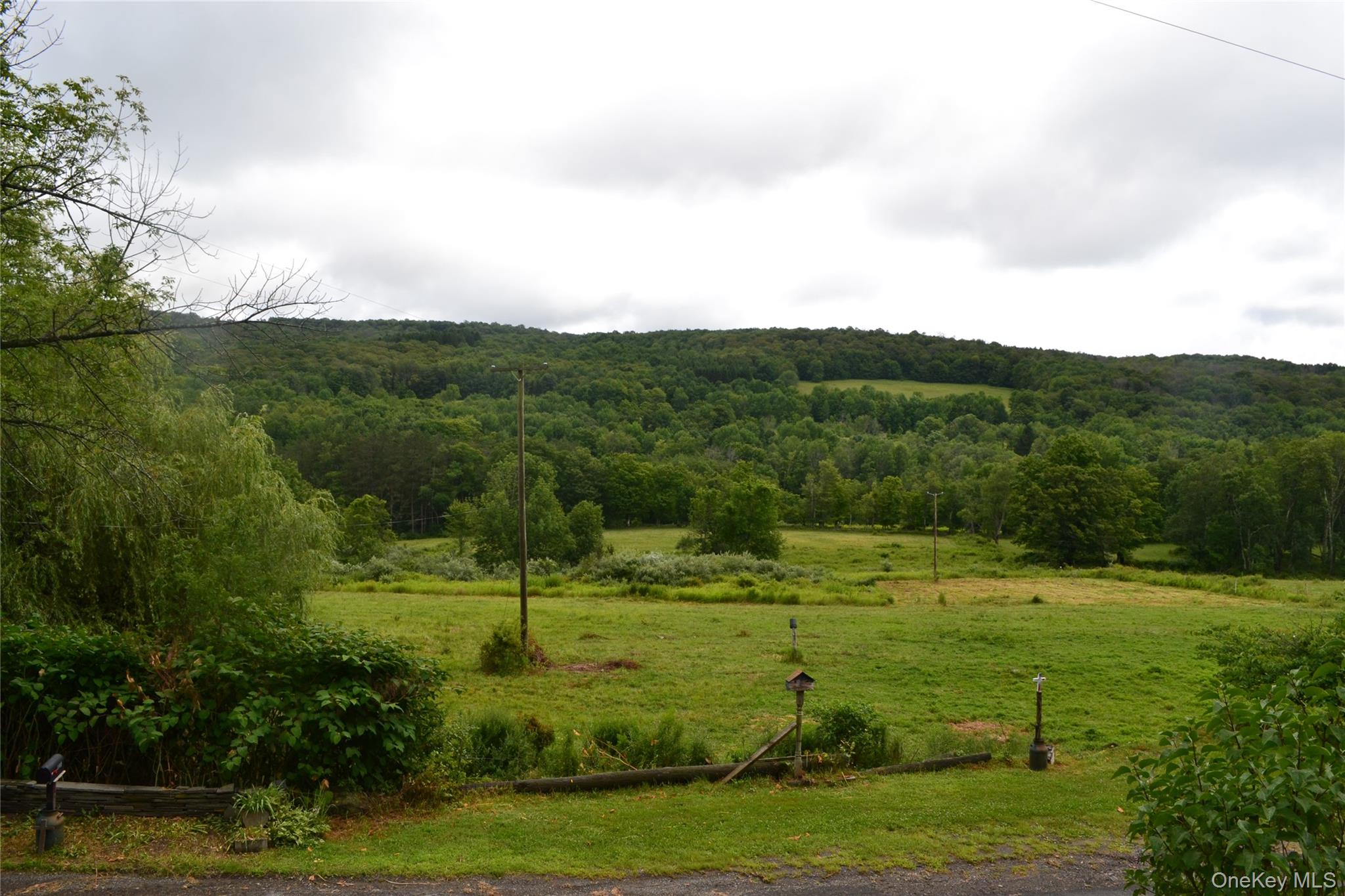 833 Biffar Road Long Eddy, NY 12760 - Photo 5 of 36 Views of open fields and mountains