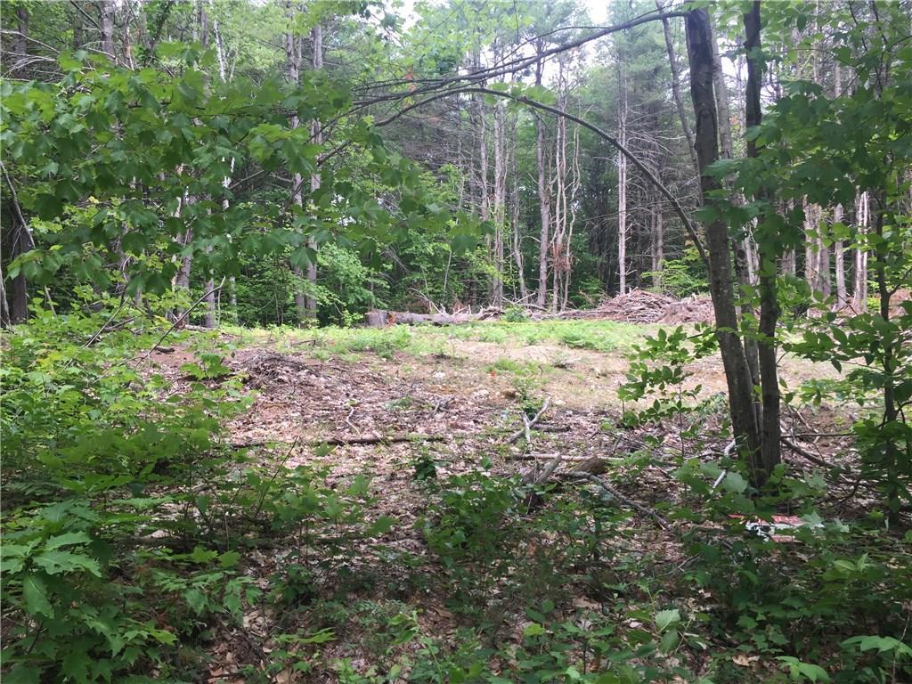 Lot 2 White Tail Ridge Road Bridgton, ME 04009 - Photo 2 of 4 Photo