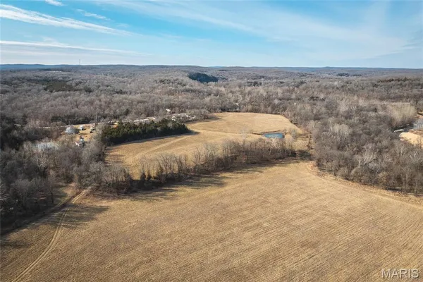 $1,181,875 | 0 Old State Highway, Cadet, MO 63630