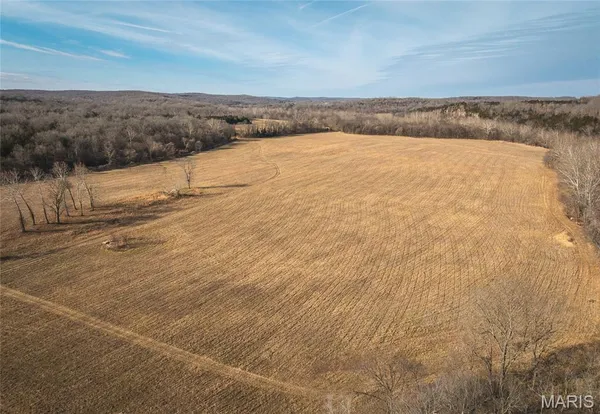 $1,181,875 | 0 Old State Highway, Cadet, MO 63630