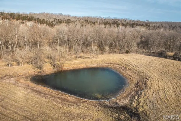 $1,181,875 | 0 Old State Highway, Cadet, MO 63630