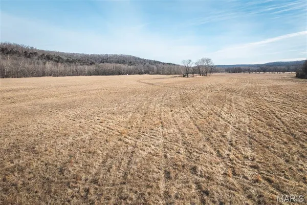 $1,181,875 | 0 Old State Highway, Cadet, MO 63630