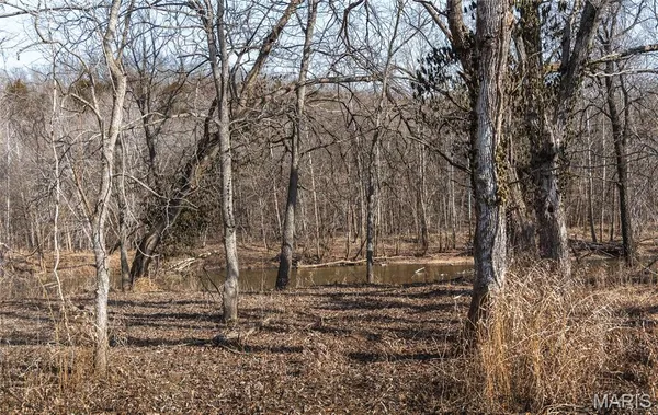 $1,181,875 | 0 Old State Highway, Cadet, MO 63630