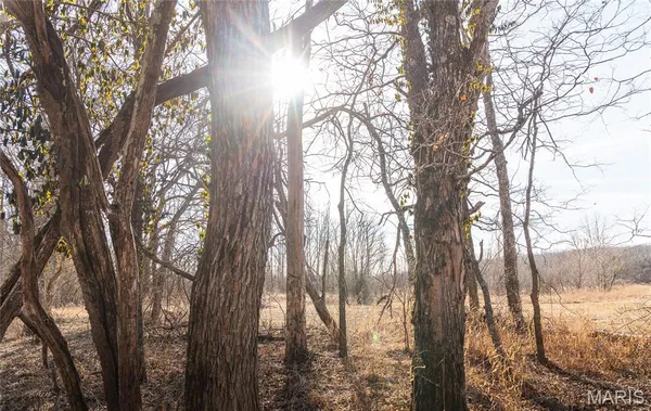 $1,181,875 | 0 Old State Highway, Cadet, MO 63630