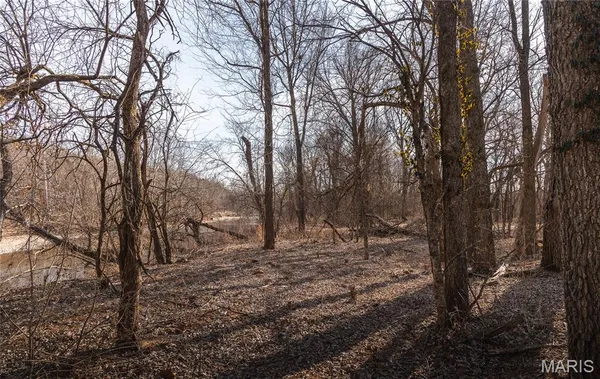 $1,181,875 | 0 Old State Highway, Cadet, MO 63630