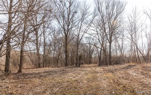 $1,181,875 | 0 Old State Highway, Cadet, MO 63630