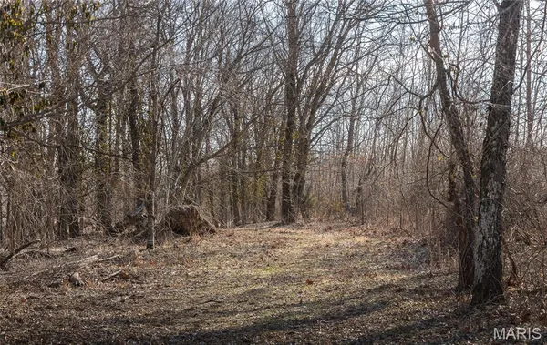 $1,181,875 | 0 Old State Highway, Cadet, MO 63630