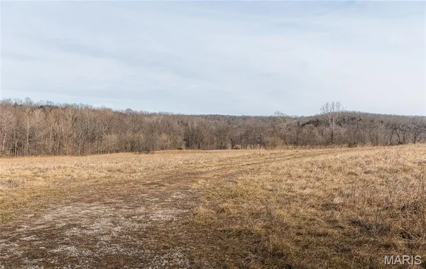 $1,181,875 | 0 Old State Highway, Cadet, MO 63630