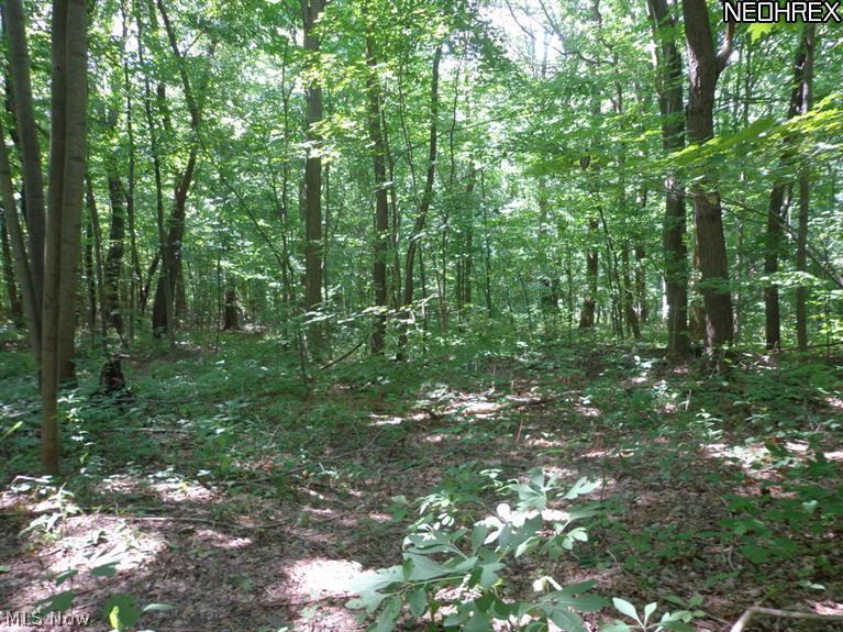 68-sl Georgia Road Middlefield, OH 44062 - Photo 8 of 15